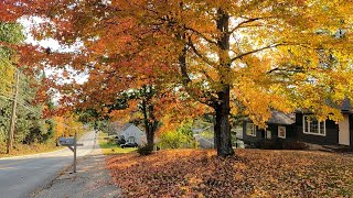 Walking With JBeau  572 Miles  10102024  Lewiston ME [upl. by Ratcliff]