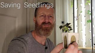 Gardyn Saving Seedlings  MUST Watch For New Growers [upl. by Yticilef]