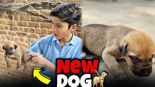 NEW DOG 🦮 DOG LA AYA  REHMAN NASIR VLOGS [upl. by Atikram466]