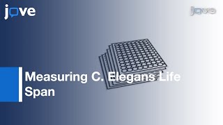 Measuring C Elegans Life Span In 96 Well Microtiter Plates l Protocol Preview [upl. by Kathrine]