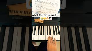 This Cat Played Piano CORRECTLY 🤔👀 [upl. by Nylidnam]