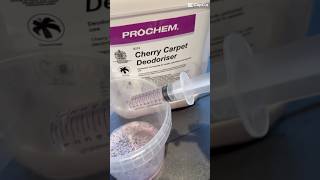 Carpet Cleaning with Prochem 🧼 carpetextraction carpetwashing hotwaterextraction [upl. by Ecilef]