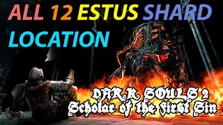 All 12 Estus Flask Shard Locations  Dark Souls 2 Scholar of The First Sin [upl. by Neona]