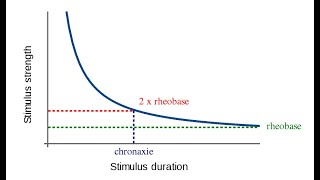 16 Accommodation and strength duration curve [upl. by Yrffoeg522]