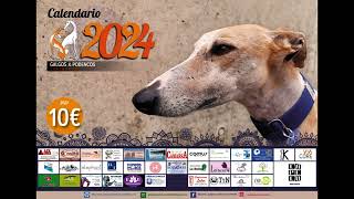 Calendario Galgos y Podencos Cantabria 2024 [upl. by Annez857]