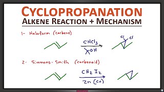 Cyclopropanation of Alkenes Carbene via Haloform and Simmons Smith Reactions [upl. by Ducan]