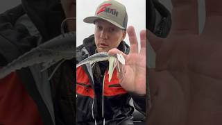 How To Catch MORE Bass On A Chatterbait [upl. by Langill]