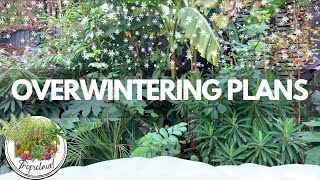 Overwintering Tour Nov 24 UK Tropical Style Garden [upl. by Hirsch]