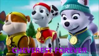 PAW Patrol Marshall x Everest Happy Birthday paw patrol marshall [upl. by Minna769]