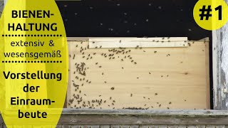 Vorstellung Einraumbeute – Bienenhaltung extensiv amp wesensgemäß 1 [upl. by Lynde346]