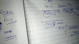 PITUTARY GLAND with HORMONES PHYSIOLOGY ch 76 guyton fast and easy review part 3 [upl. by Jollenta]