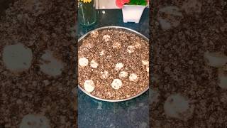 Ragi Flakes Recipe l Ragi Aval l Healthy Evening Snack shorts anaswarrecipes [upl. by Pimbley]