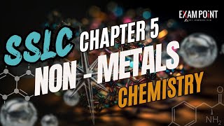 Class 10 Chemistry  Chapter 5 NonMetals  SCERT Syllabus [upl. by Sama364]