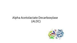 Explanation about Alpha Acetolactate Decarboxylase ALDC Benefits and Disadvantages of ALDC [upl. by Frantz276]