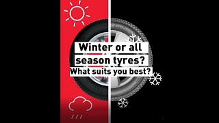 Kleber Quadraxer 2 and Kleber Citilander SUV Allseason tyres  Bush Tyres [upl. by Loredo]