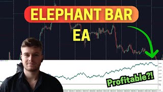 MQL5 Elephant Bar EA  Coding Tutorial [upl. by Lyret700]