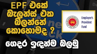 🔴 EPF බැලන්ස් එක ලේසියෙන්ම බලාගන්නේ මෙහෙමයි  How to Check Your EPF Balance Online in Sri Lanka [upl. by Uamak]