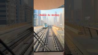 PoV Scenes of Dubai Winters travel dubai shorts [upl. by Pritchard]