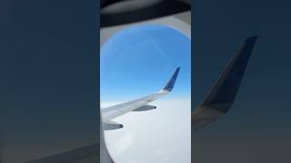 Flight statusyt youtubeshorts plane delhiairport love viralvideo minivlogsubscribeshorts [upl. by Yevrah99]