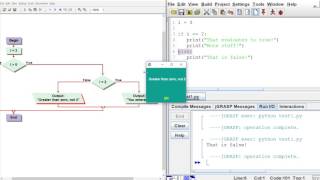 Conditional Statements Python vs Visual Logic [upl. by Llirred96]