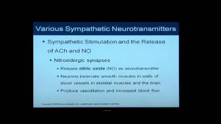 Anatomy and Physiology Help Chapter 16 Light OverviewFlythrough of Autonomic Nervous System [upl. by Delija]