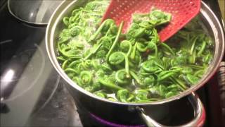 How to prepare fiddleheads for freezing by blanching [upl. by Shiau]