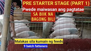 Pre starter stage Part 1 Pwede maiwasan ang pagtatae ng biik na bagong bili l Dodong Villaran [upl. by Marcelo]