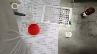 HBsAg ELISA test procedure [upl. by Hada]