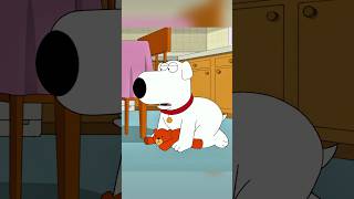 Stewie And Ruperts Unbearable Relationship familyguy funny shorts [upl. by Notniw]