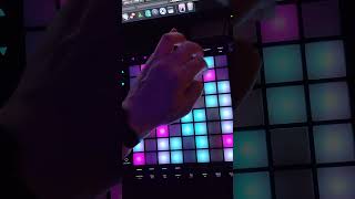 quotInsomniaquot Riff Played On Novation Launchpad Pro MK3 and Ableton Live [upl. by Naitsirc]