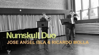 NUMSKULL DUO performs Devils Waltz by Steven Verhelst JOSE ISLA amp RICARDO MOLLA [upl. by Norrab]