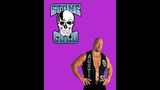 WWE Stone Cold Theme Entrance By Sergio Records [upl. by Spalding]