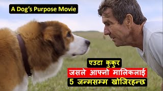 A Dogs Purpose movie Expalined in Nepali Cinepal एउटा कुकुरले आफ्नो मालिकलाई 5 जन्मसम्म खोजिरहन्छ [upl. by Herriott]