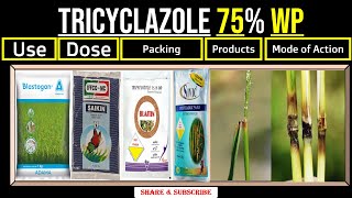 Tricyclazole 75 WP  Tricyclazole  Uses  Dose  Time of Application  Mode of Action [upl. by Idoj505]