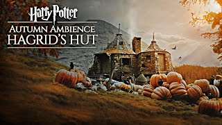 Hogwarts Autumn 🍂 Hagrids Hut ◈ Harry Potter inspired Ambience  Falling Leaves  Rain showers [upl. by Atnoled901]