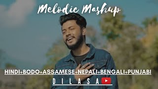 HindiBodoAssameseNepaliBengaliPunjabi ll Dilasa Basumatary ll Melodic Mashup [upl. by Lorrin]