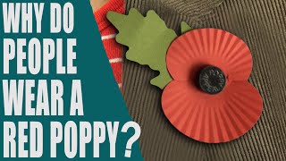 Why do people wear a red poppy What is Poppy Day Remembrance Day 2023  English Topic [upl. by Darcia353]