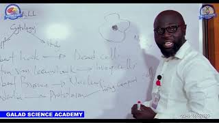 BIOLOGY INTRO TO CELL FULL JAMB IJMBE JUPEB AND 100 LEVEL TUTORIAL CLASS GALADSCIENCEACADEMY [upl. by Aniweta]