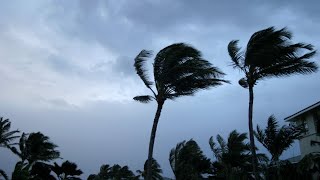 At least 18 dead as tropical cyclone strikes Madagascar [upl. by Pavyer]