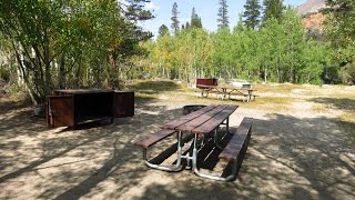 Table Mountain Group Campground Inyo National Forest in Bishop California [upl. by Atiker]