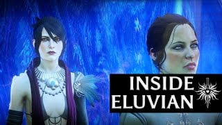 Dragon Age Inquisition  Inside Morrigan’s Eluvian [upl. by Eiramanna]