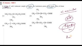 A protein X with molecular weight of 70000u on hydrolysis gives amino acids One of these amino [upl. by Gerge]