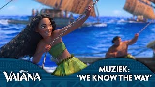 Disney Vaiana  Muziek We Know The Way [upl. by Gerita]