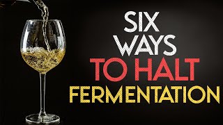 Six Ways to Halt Fermentation in Homebrew [upl. by Namreg]