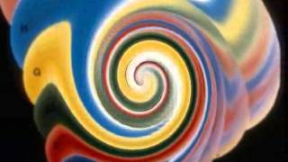 Spiral Dynamics Beautiful Noise Dr Don Beck [upl. by Richarda942]