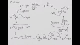 CHEM 222 Chromic Acid Oxidation of Alcohols [upl. by Assirec]