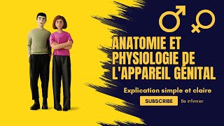 Anatomie et physiologie de lappareil génital  Explication simple et claire [upl. by Norted]