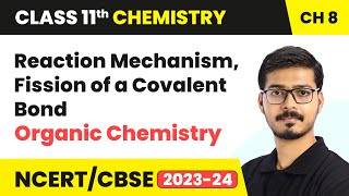 Reaction Mechanism Fission of a Covalent Bond  Organic Chemistry  Class 11 Chemistry Chapter 8 [upl. by Partridge]