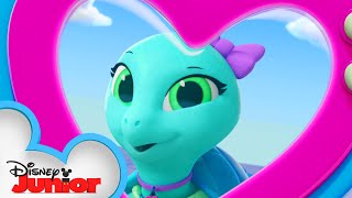 Sandy The Sea Turtle  Calling All TOTS  TOTS  disneyjr [upl. by Anavahs]