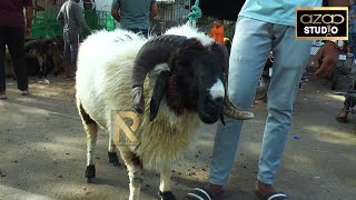 BAKRA BAZAR TOLICHOWKI 2023 [upl. by Eislehc]